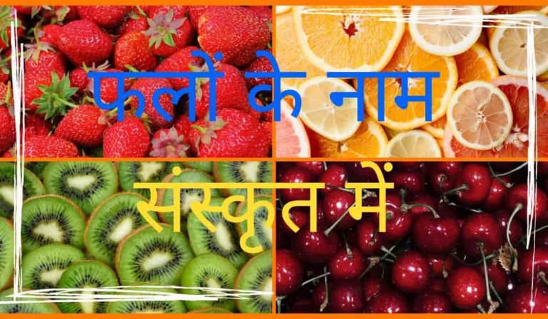 Fruits Names In Sanskrit