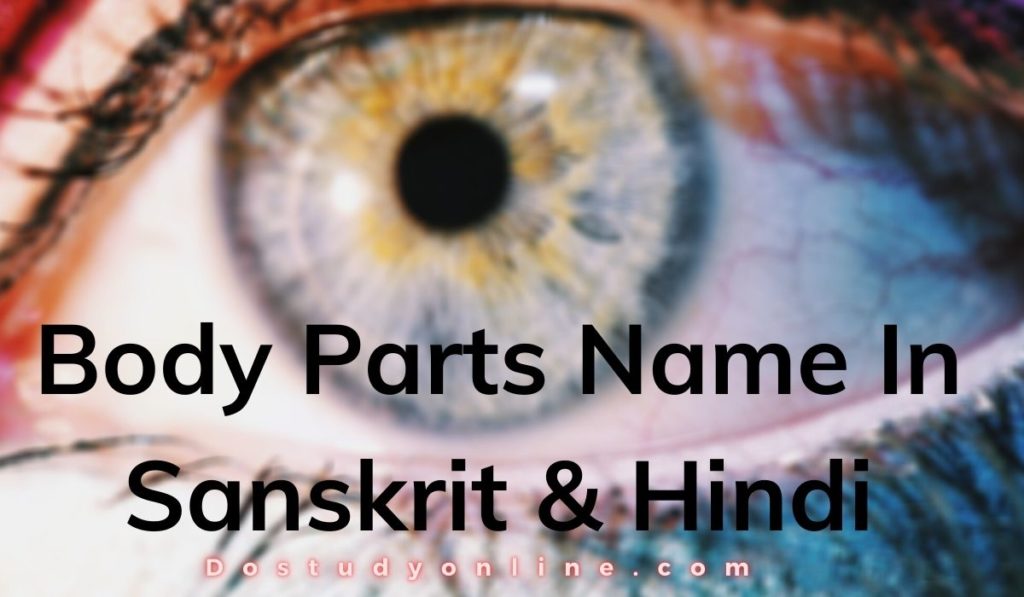 Body Parts Name In Sanskrit & Hindi